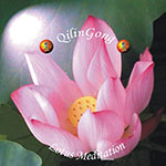 Lotus Muzica Lotus Muzica